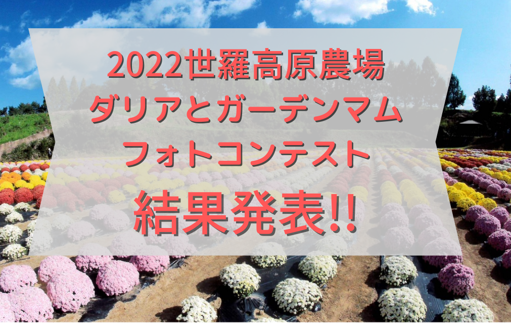 2022 世羅高原農場ダリアとガーデンマムフォトコンテスト結果発表！