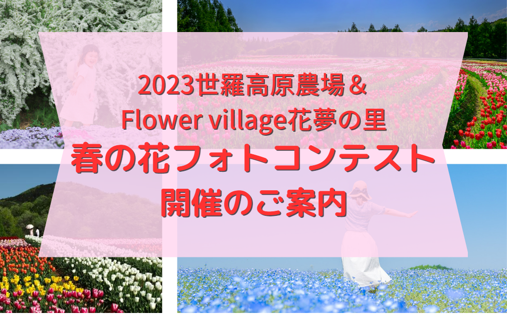 ◆2023世羅高原農場　春の花フォトコンテスト開催のお知らせ【応募締め切り2023年5月31日必着】
