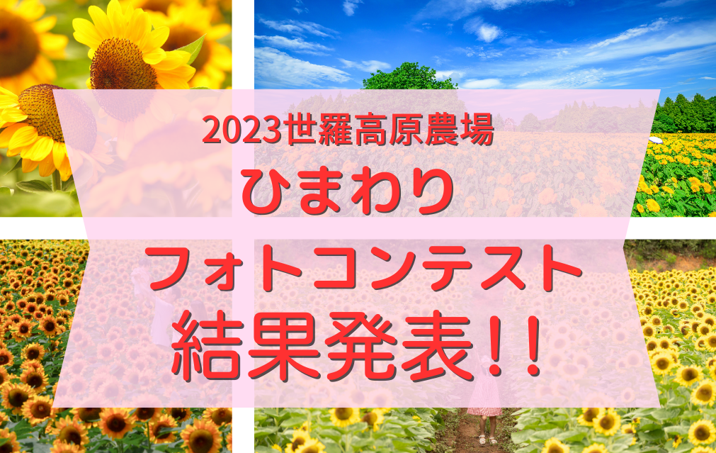 2023 世羅高原農場 ひまわりフォトコンテスト結果発表！