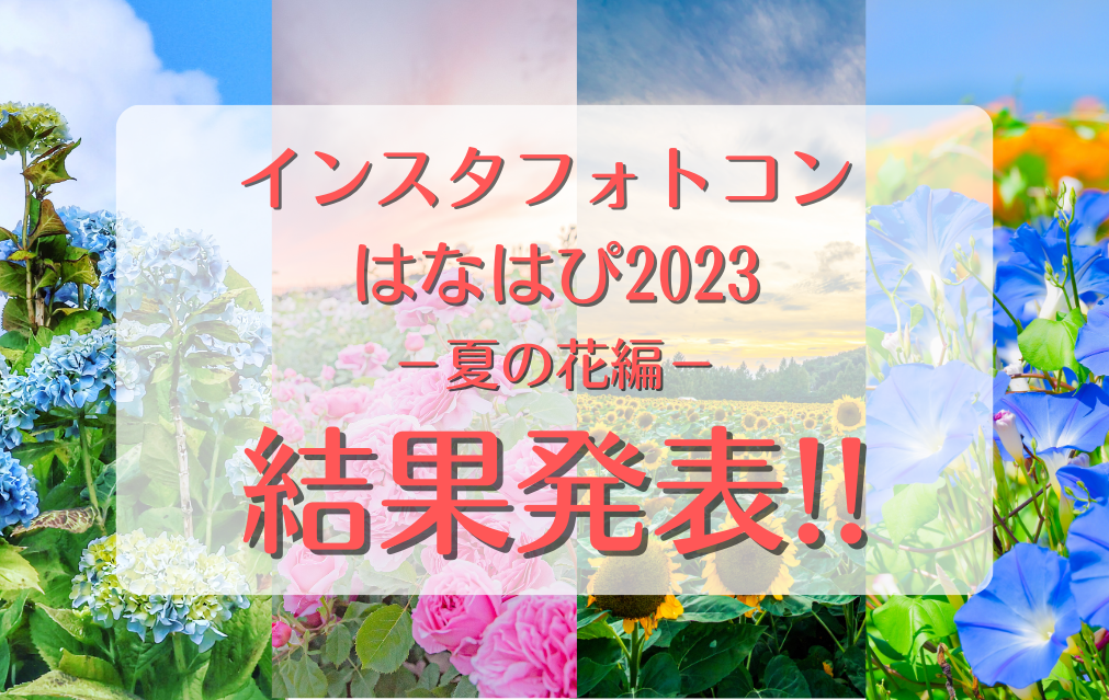 インスタフォトコン はなはぴ2023-夏の花編- 結果発表！