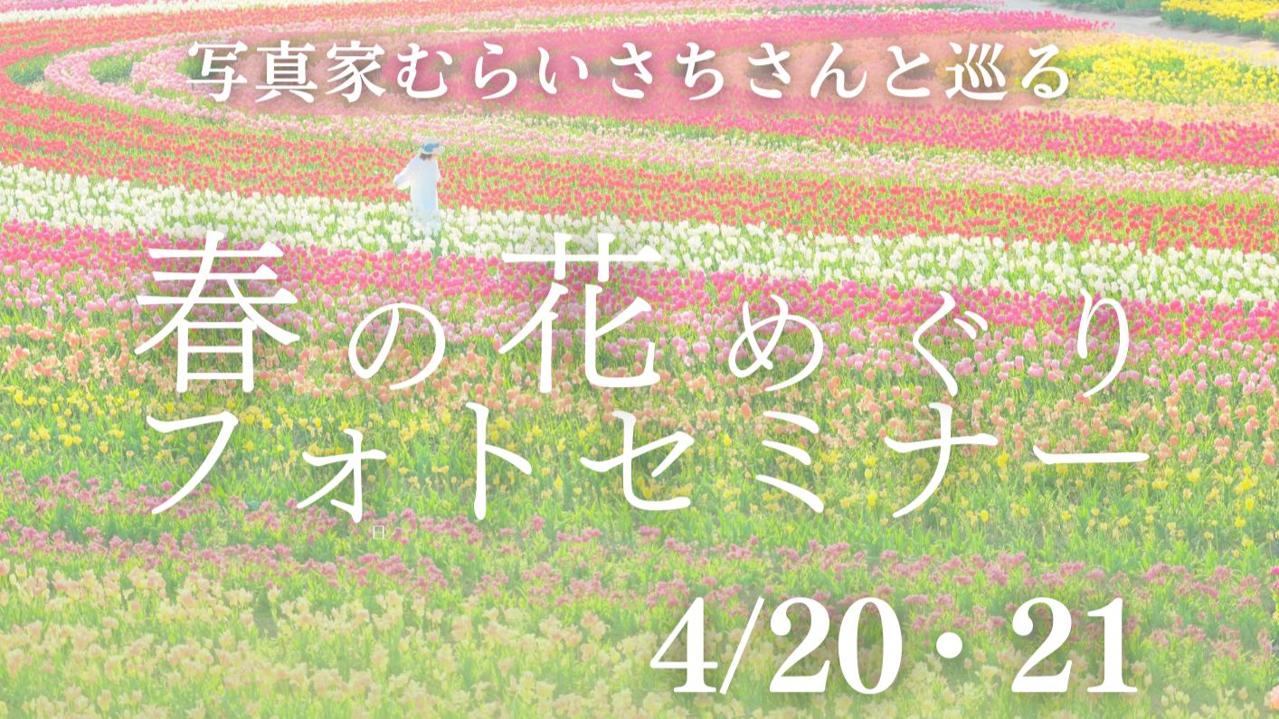【4/20(土)・4/21(日)】写真家むらいさちさんと巡る　世羅高原春の花めぐりフォトセミナー開催