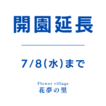 【7月8日まで】あじさいとタチアオイの丘 開園延長【花夢の里】