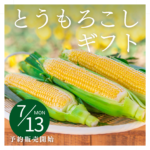 【7月13日から】とうもろこしギフト販売開始