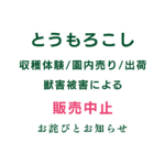 とうもろこし販売中止のお詫びとお知らせ