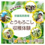 【7月21日発売】とうもろこし収穫体験《世羅高原農場》