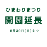 【8月30日まで】ひまわりまつり開園延長《世羅高原農場》