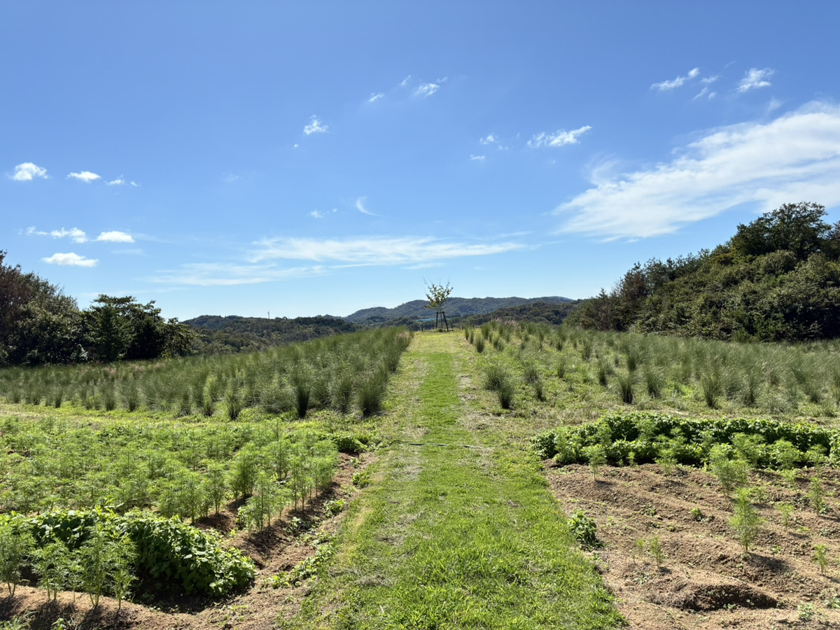 玫瑰與花卉庭園【秋】