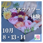 【10月８・13・14日】園内のバラを摘んでつくるボックスフラワー体験《そらの花畑世羅高原花の森》