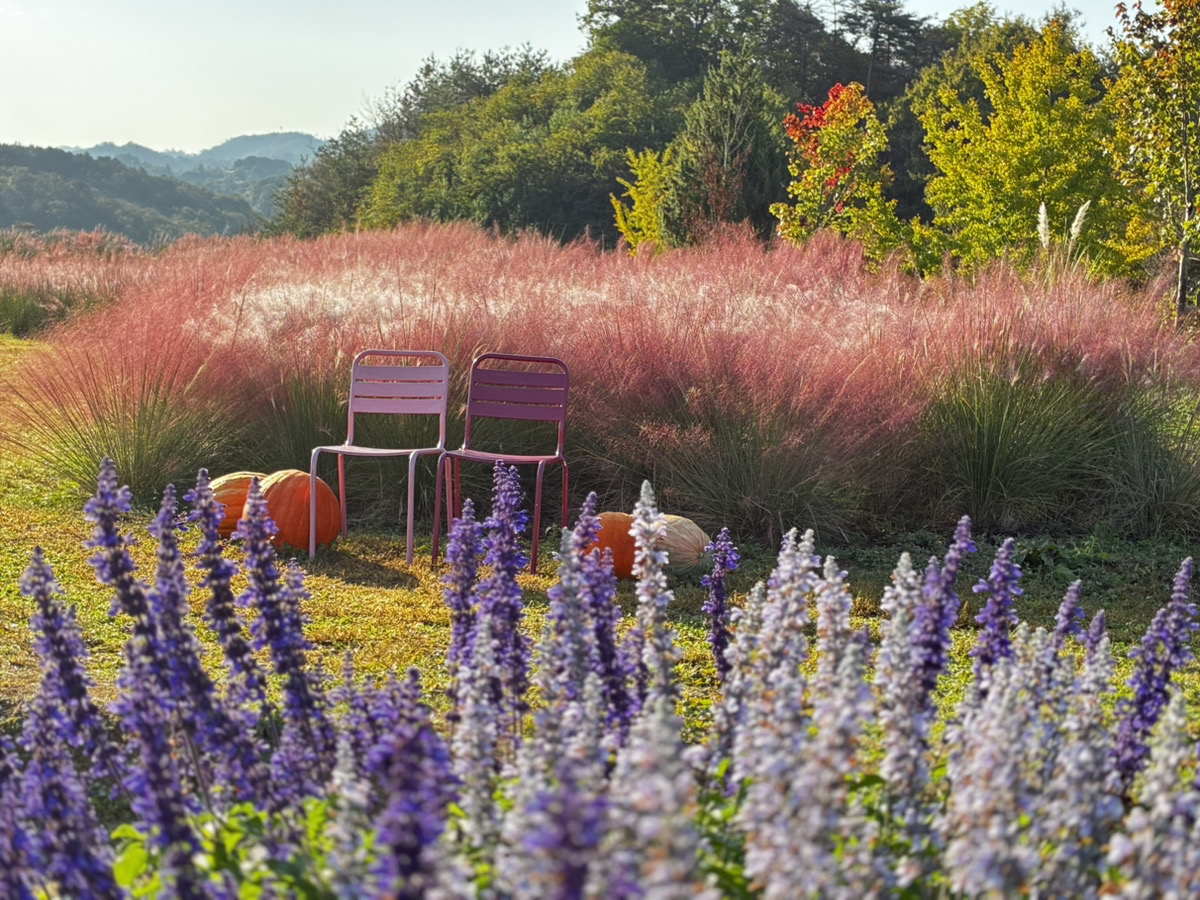 Rose & Flower Garden [Autumn]